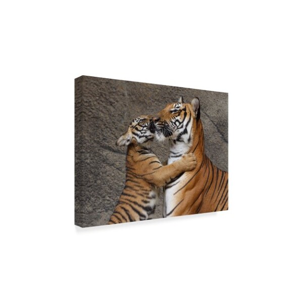 Galloimages Online 'A Kiss For Mom' Canvas Art,14x19